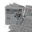 Newspaper Litter 3 3D Model