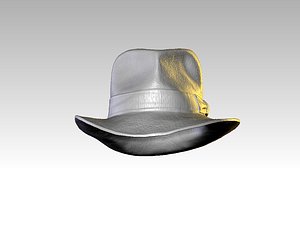 Fedora/Indiana Jones Hat