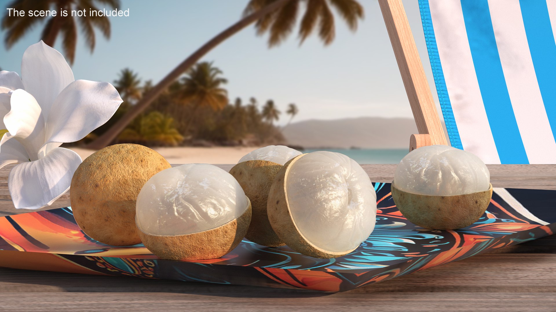 Half a Peeled Longan Peel 3D model preview