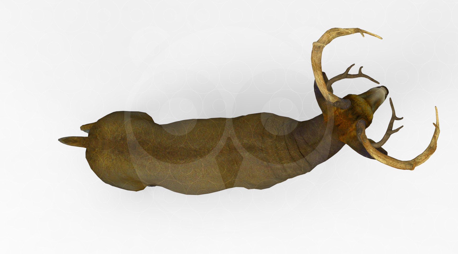 3D Deer https://p.turbosquid.com/ts-thumb/ao/DhiUcM/C4/untitled.266/jpg/1693560979/1920x1080/fit_q87/c7aa620a881041aa5125b93eb17f883f18338251/untitled.266.jpg