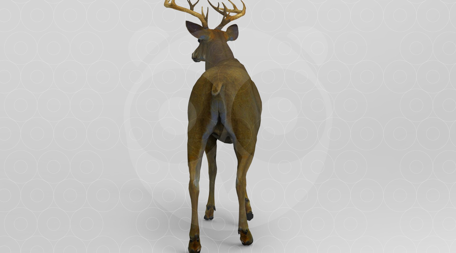 3D Deer https://p.turbosquid.com/ts-thumb/ao/DhiUcM/kw/untitled.270/jpg/1693560973/1920x1080/fit_q87/71787c31df6beecbcaf6c86136499c95f4168a74/untitled.270.jpg