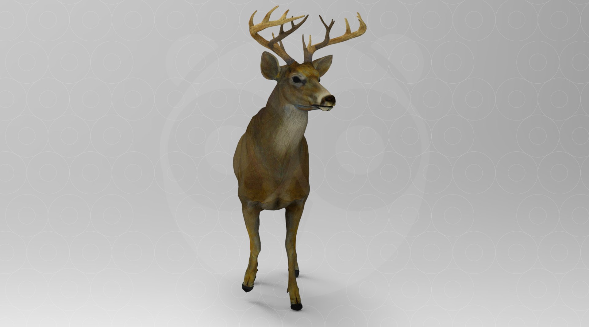 3D Deer https://p.turbosquid.com/ts-thumb/ao/DhiUcM/zh/untitled.262/jpg/1693560976/1920x1080/fit_q87/ef7bd6379a8d331e6458a77339517260799bcc36/untitled.262.jpg