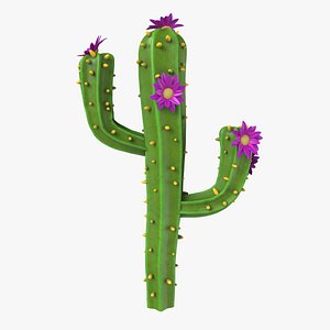 Cartoon cactus v01
