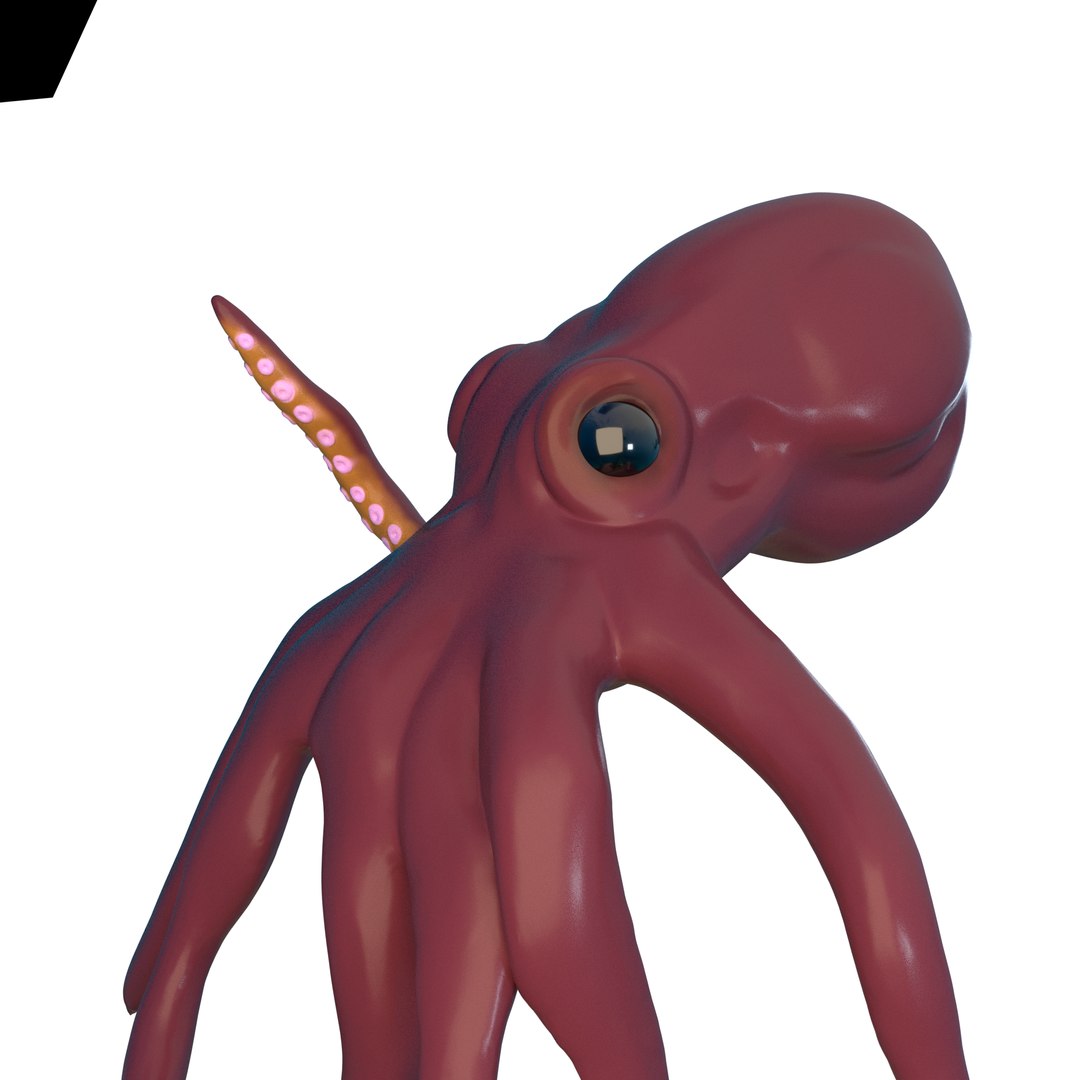 Octopus 3D Model - TurboSquid 1265331