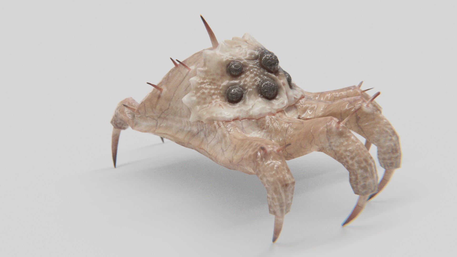 3D Creature Facehugger Headcrab Baneling TurboSquid 1660727