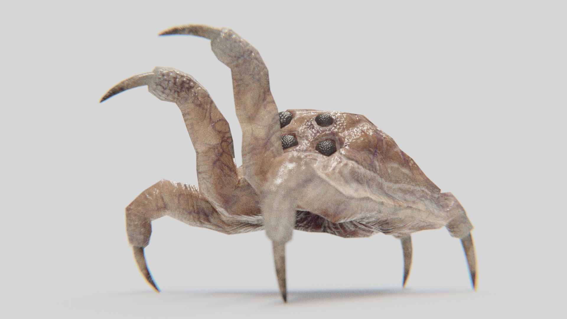 3D Creature Facehugger Headcrab Baneling TurboSquid 1660727