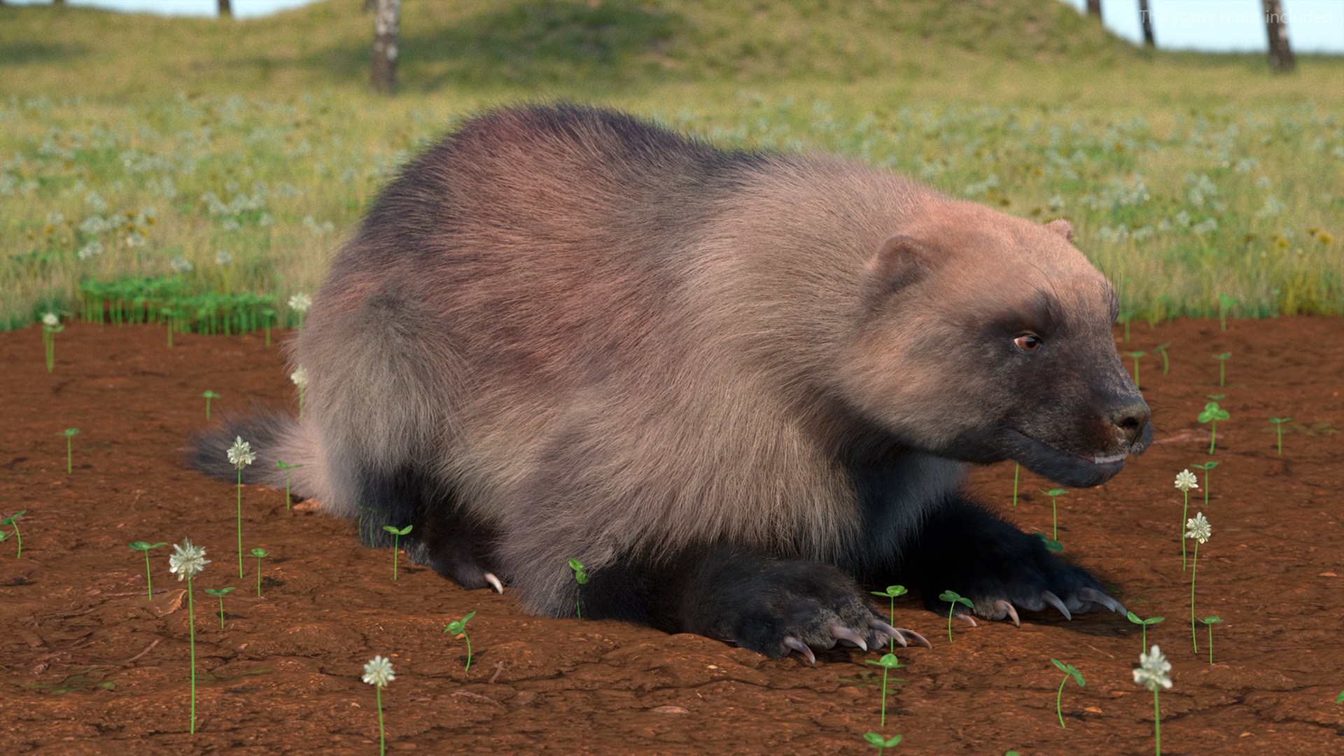 3D Model Wolverine Light Color Fur Rigged TurboSquid 2159258