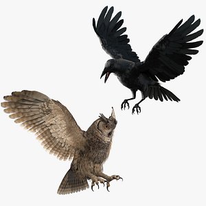 Birds bundle
