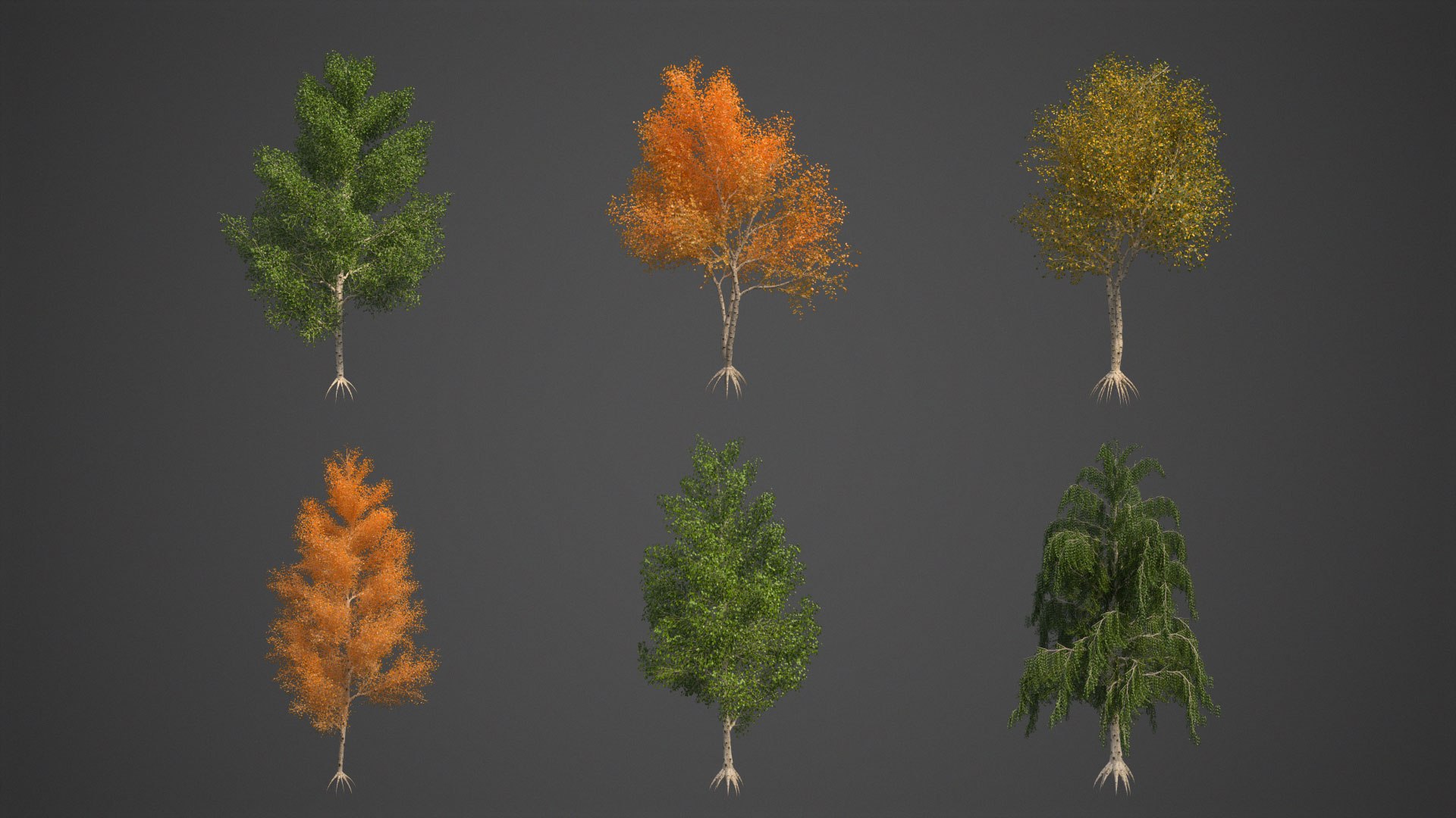 birch tree nature 3D model https://p.turbosquid.com/ts-thumb/ao/uEJKxr/0I/ea03full_01/jpg/1610991511/1920x1080/fit_q87/6803d35a01b1cd93311408195eaeba9512ae700c/ea03full_01.jpg