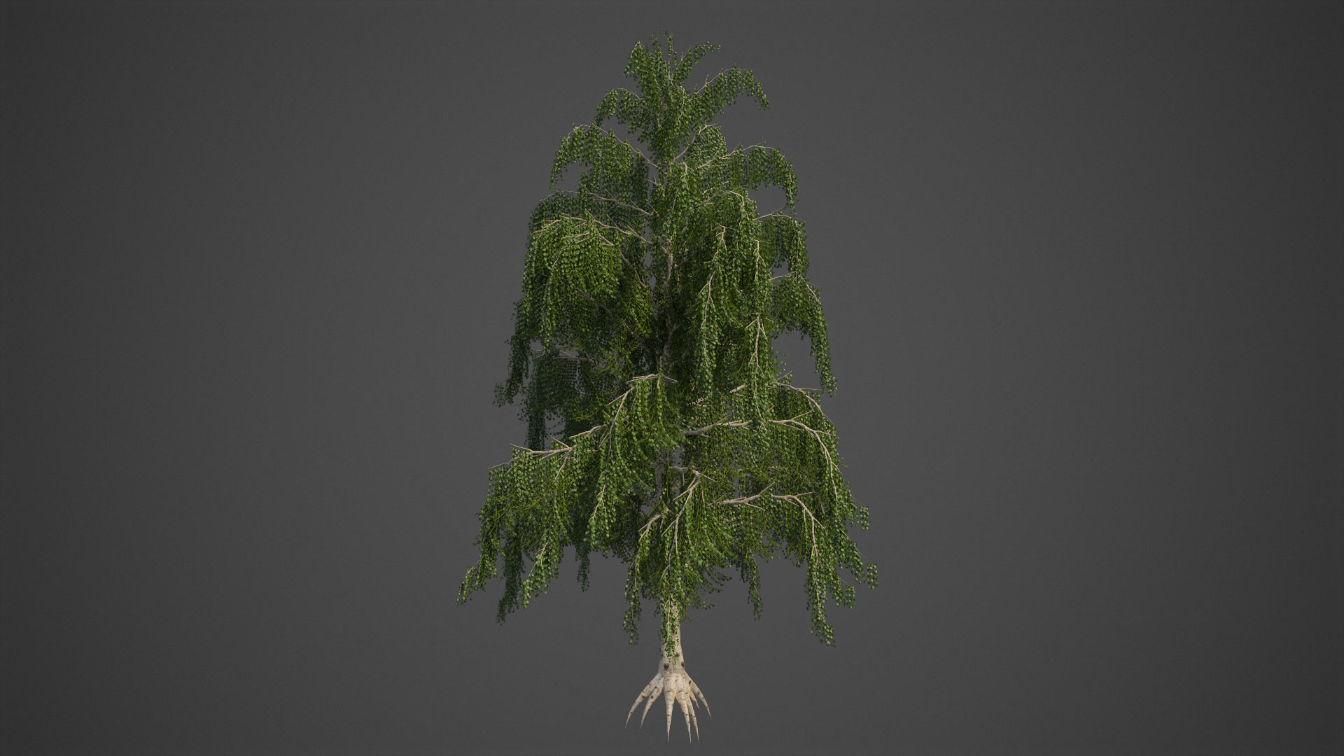 birch tree nature 3D model https://p.turbosquid.com/ts-thumb/ao/uEJKxr/Cf/ea03b/jpg/1609974245/1920x1080/turn_fit_q99/1683f66e6ccdc99c4bc5b18e05bf85acdf2f62ee/ea03b-1.jpg