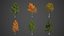 2021 PBR 纸桦木系列 - Betula Papyrifera