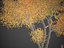 2021 PBR 纸桦木系列 - Betula Papyrifera