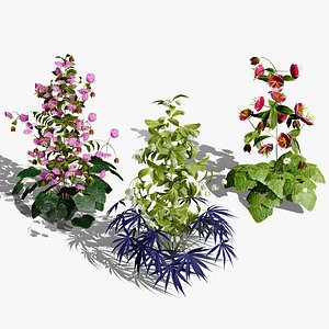 British hellebores plants usd 3D model