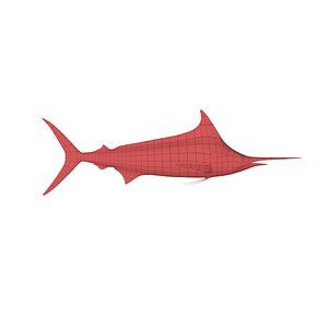 Marlin base mesh