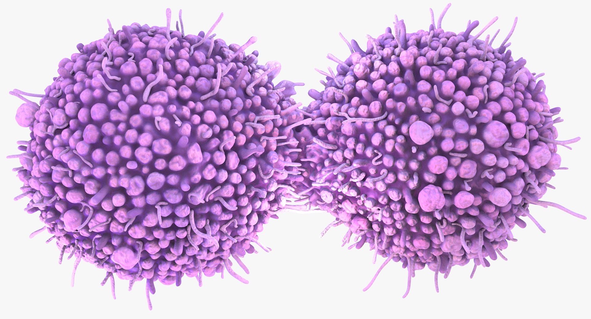 3D Cancer Cells Model - TurboSquid 1396950
