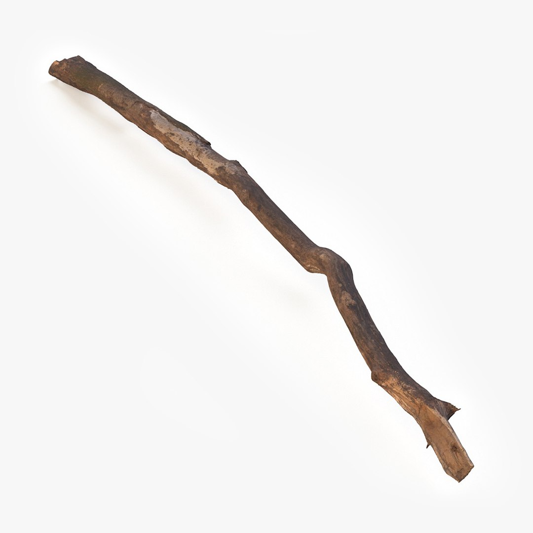 Broken Dry Branch 3D model preview