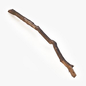 3D Broken Dry Branch