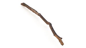 3D Broken Dry Branch