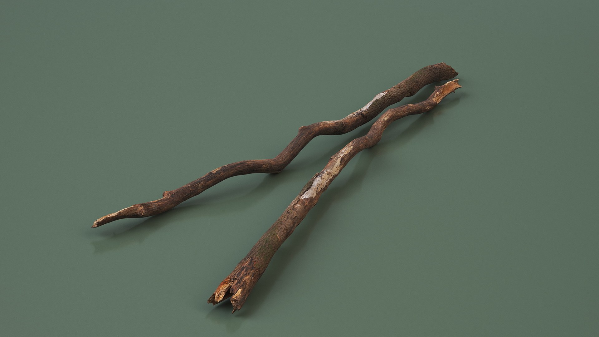 3D Broken Dry Branch https://p.turbosquid.com/ts-thumb/ap/DATClw/5R/brokendrybranch3dmodel004/jpg/1725122256/1920x1080/fit_q87/b8c53b3b44062a9a670fc879c7bc6e52e9da17a9/brokendrybranch3dmodel004.jpg