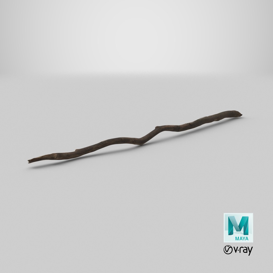 3D Broken Dry Branch https://p.turbosquid.com/ts-thumb/ap/DATClw/RH/stemcell_maya_vray_render/png/1731675992/1920x1080/fit_q87/e958d4c7941766254d6f0494c4eda270f7fb4c0a/stemcell_maya_vray_render.jpg