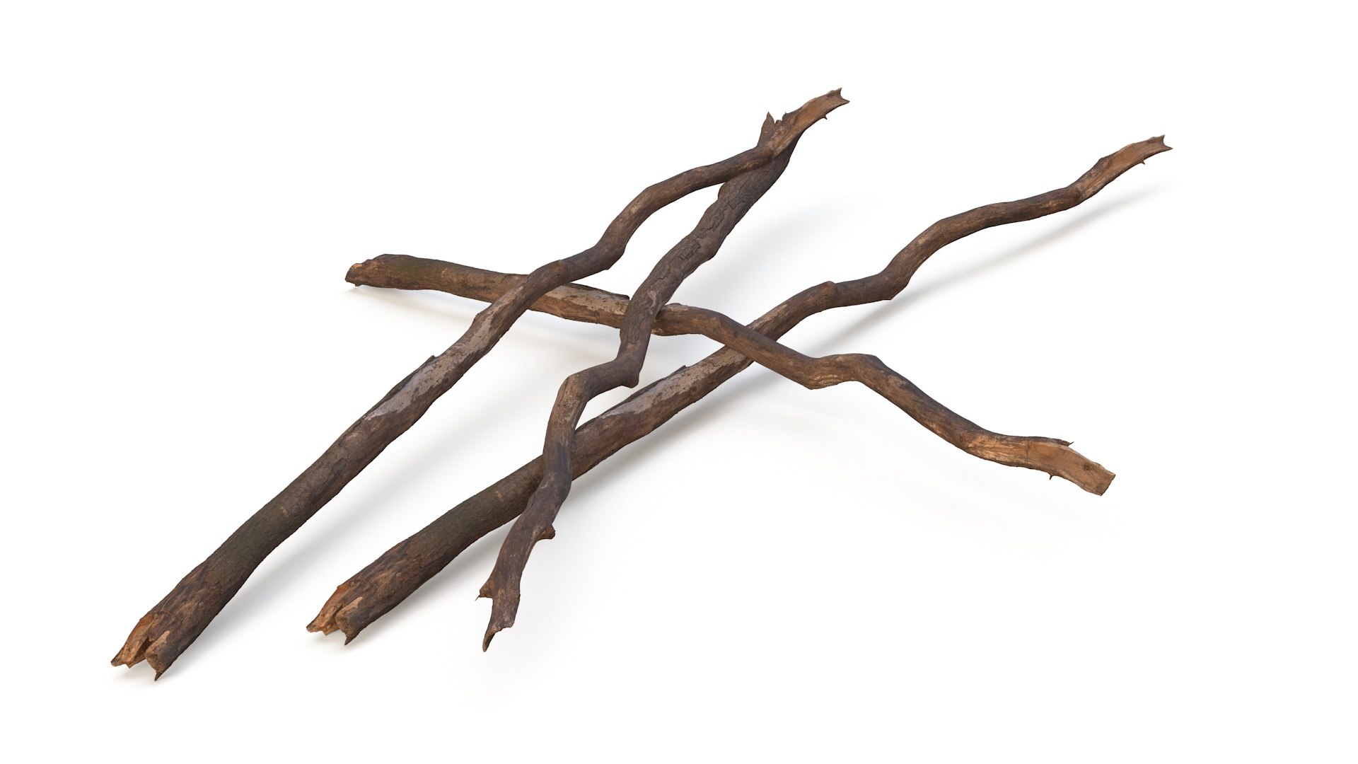 3D Broken Dry Branch https://p.turbosquid.com/ts-thumb/ap/DATClw/S5/brokendrybranch3dmodel006/jpg/1725122262/1920x1080/fit_q87/3cd02b6498d6a4dfd7e3ae449e49c4a654a6455c/brokendrybranch3dmodel006.jpg