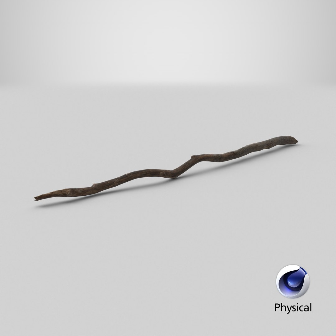 3D Broken Dry Branch https://p.turbosquid.com/ts-thumb/ap/DATClw/Sl/stemcell_cinema_4d_physical_render/png/1731675996/1920x1080/fit_q87/10e0ccfe60ec6bad272bb5e25b2713bfae6cef95/stemcell_cinema_4d_physical_render.jpg