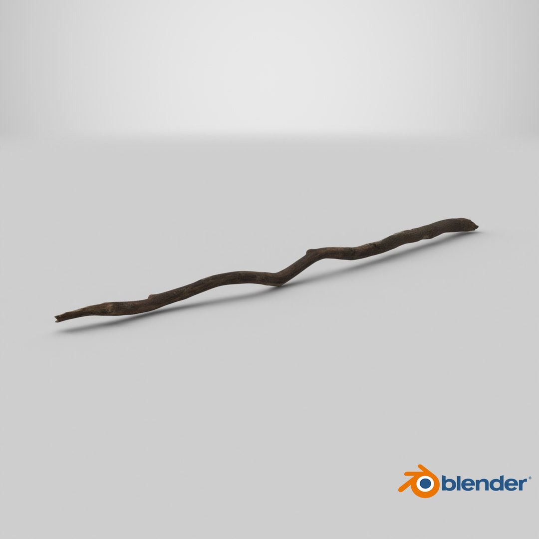 3D Broken Dry Branch https://p.turbosquid.com/ts-thumb/ap/DATClw/TP/stemcell_blender_cycles_render/png/1731675988/1920x1080/fit_q87/830f52793b2ee052adc34bf1afdb5be29f690987/stemcell_blender_cycles_render.jpg