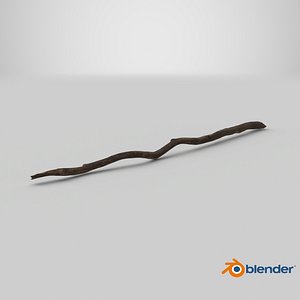Broken Dry Branch