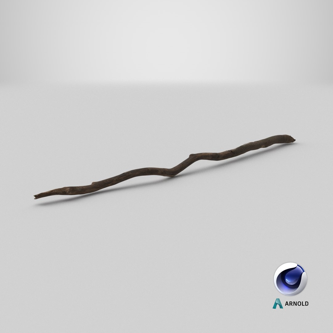 3D Broken Dry Branch https://p.turbosquid.com/ts-thumb/ap/DATClw/Y5/stemcell_cinema_4d_arnold_render/png/1731675994/1920x1080/fit_q87/ae6fe3fa732a050f7887a2e50fb3cd5502fb56ef/stemcell_cinema_4d_arnold_render.jpg