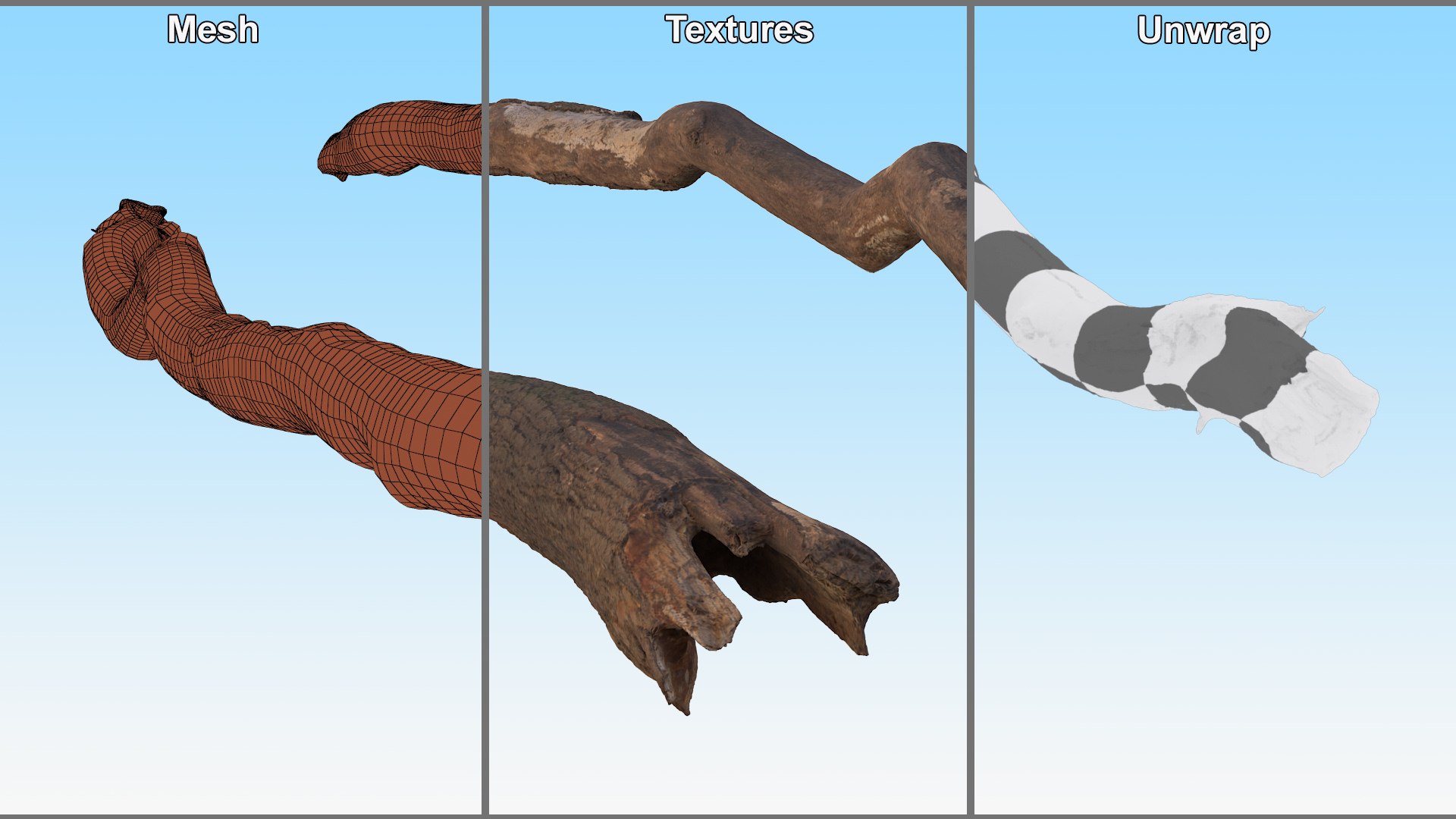3D Broken Dry Branch https://p.turbosquid.com/ts-thumb/ap/DATClw/Yc/brokendrybranch3dmodel009/jpg/1725122272/1920x1080/fit_q87/7e913135641e1a166eb2cd71591ab794b535fc0d/brokendrybranch3dmodel009.jpg