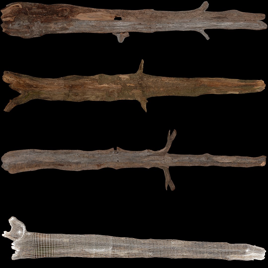 3D Broken Dry Branch https://p.turbosquid.com/ts-thumb/ap/DATClw/Z8/brokendrybranch3dmodel011/jpg/1725122280/1920x1080/fit_q87/6134c690f8316d4760c63e6ff286e8a517b3f606/brokendrybranch3dmodel011.jpg
