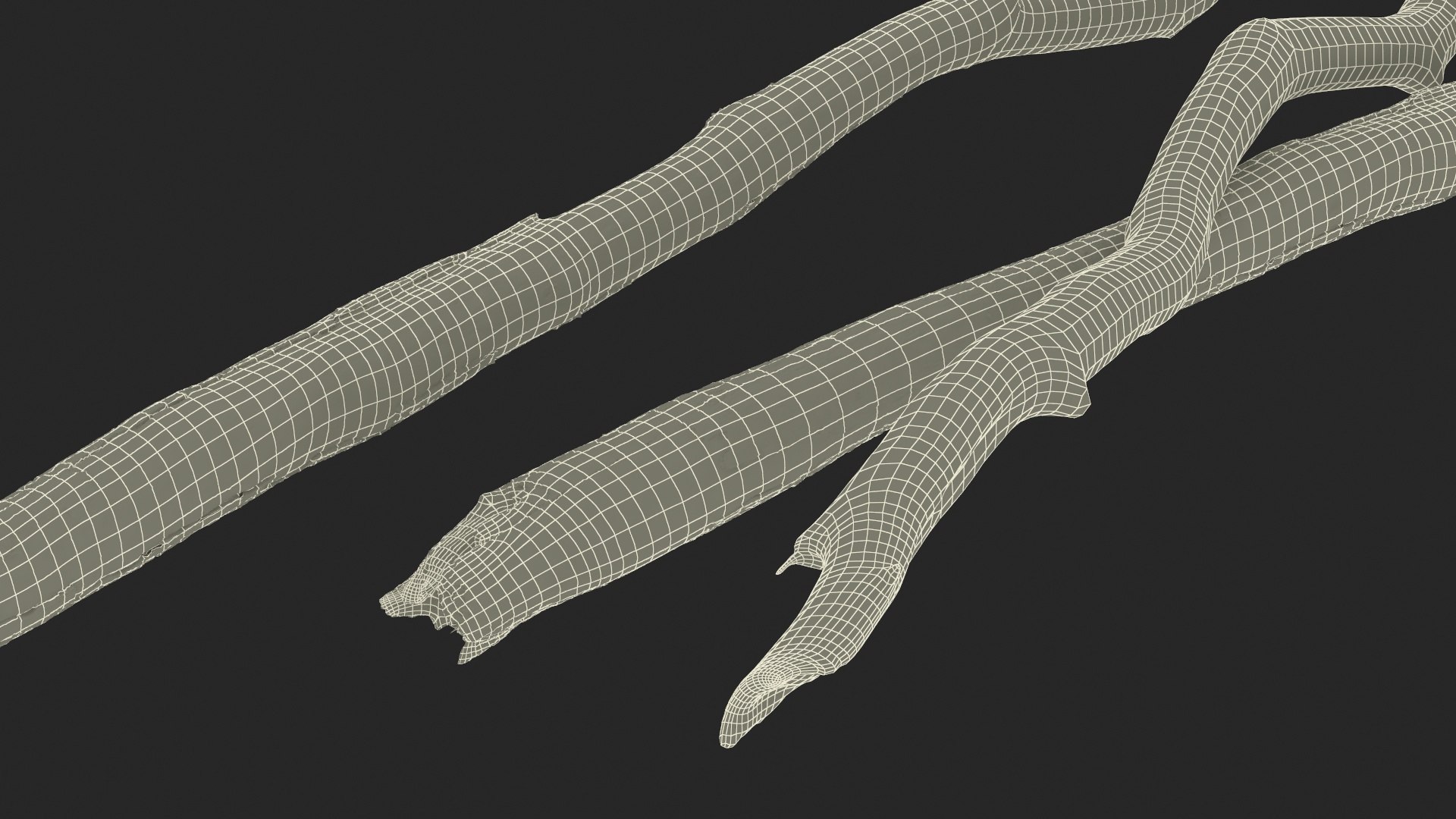 3D Broken Dry Branch https://p.turbosquid.com/ts-thumb/ap/DATClw/Zu/brokendrybranch3dmodel014/jpg/1725122292/1920x1080/fit_q87/5f2d562383096bf5cfd48eb4cec46286b0284950/brokendrybranch3dmodel014.jpg