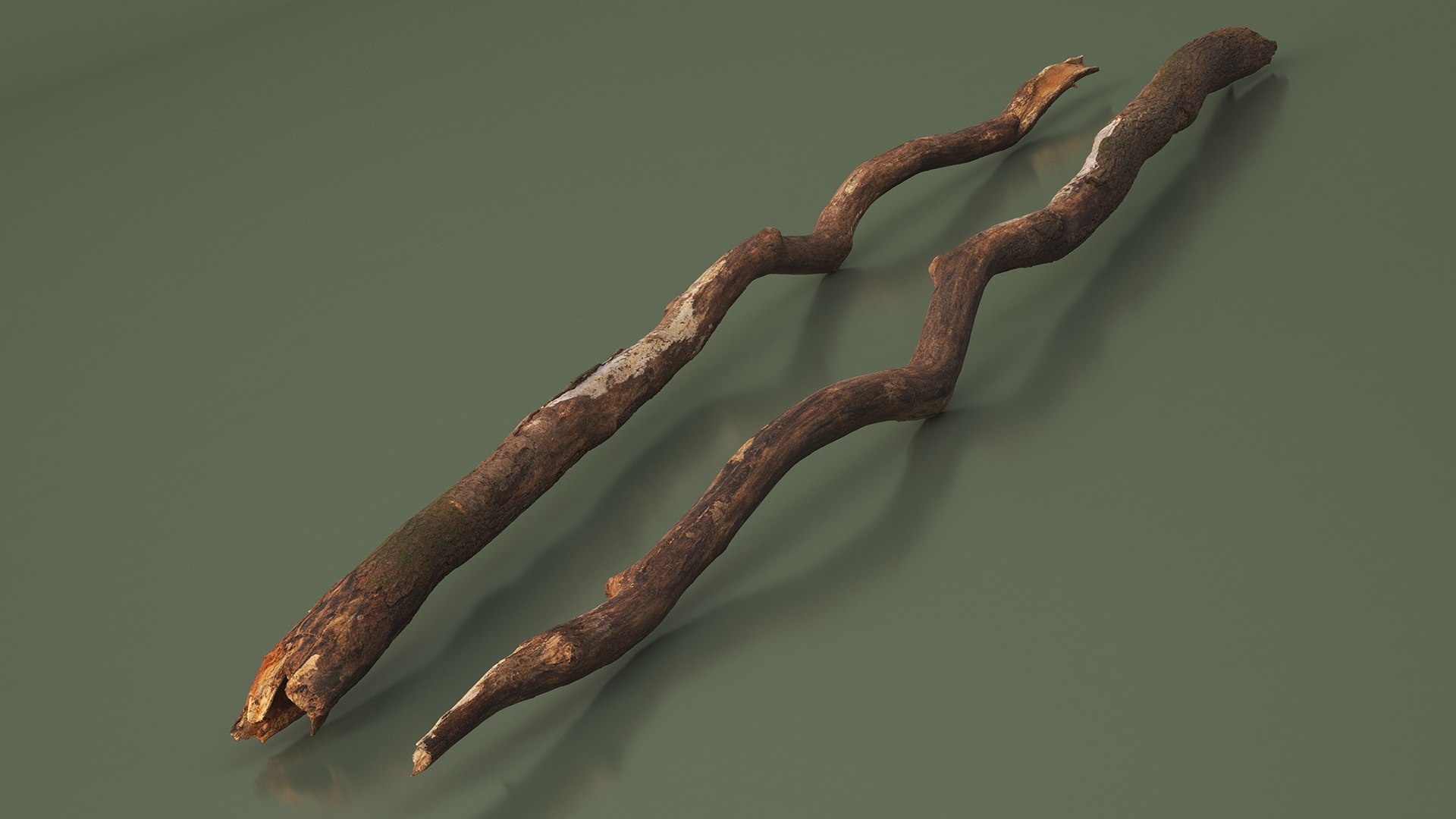 3D Broken Dry Branch https://p.turbosquid.com/ts-thumb/ap/DATClw/iX/brokendrybranch3dmodel005/jpg/1725122259/1920x1080/fit_q87/a7c67db74b6d91c8454df8120400e732d4e3f3cc/brokendrybranch3dmodel005.jpg