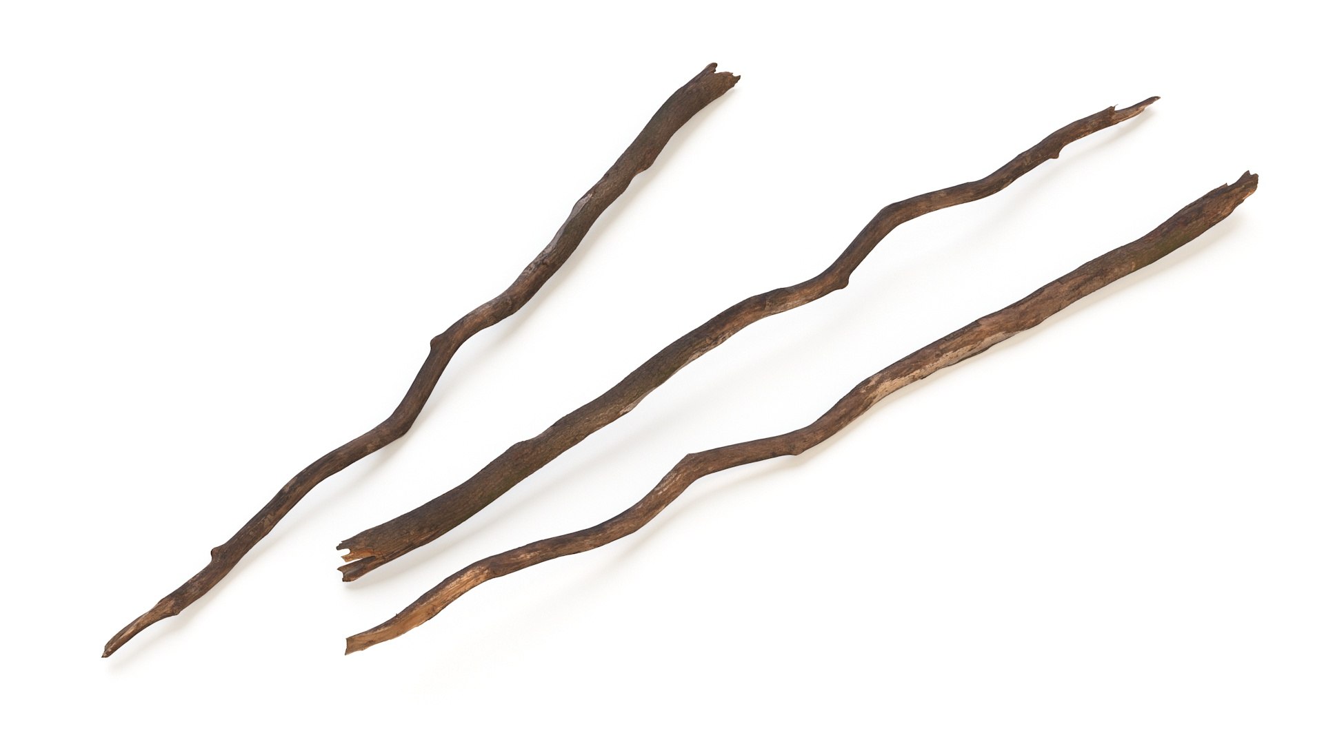 3D Broken Dry Branch https://p.turbosquid.com/ts-thumb/ap/DATClw/ij/brokendrybranch3dmodel008/jpg/1725122268/1920x1080/fit_q87/958d4ff63c621da85ce0e7376f06e42c866e290b/brokendrybranch3dmodel008.jpg