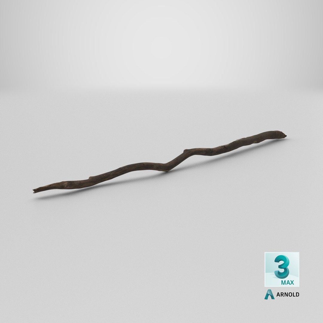 3D Broken Dry Branch https://p.turbosquid.com/ts-thumb/ap/DATClw/mz/stemcell_max_arnold_render/png/1731676000/1920x1080/fit_q87/13142925984f6cfe5e6902bab712eec1f81e67ea/stemcell_max_arnold_render.jpg