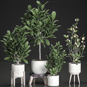 3D decorative interior white pots