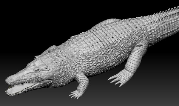 Zbrushのワニ3Dモデル - TurboSquid 1020900