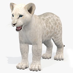 lion cub white modeled 3D model