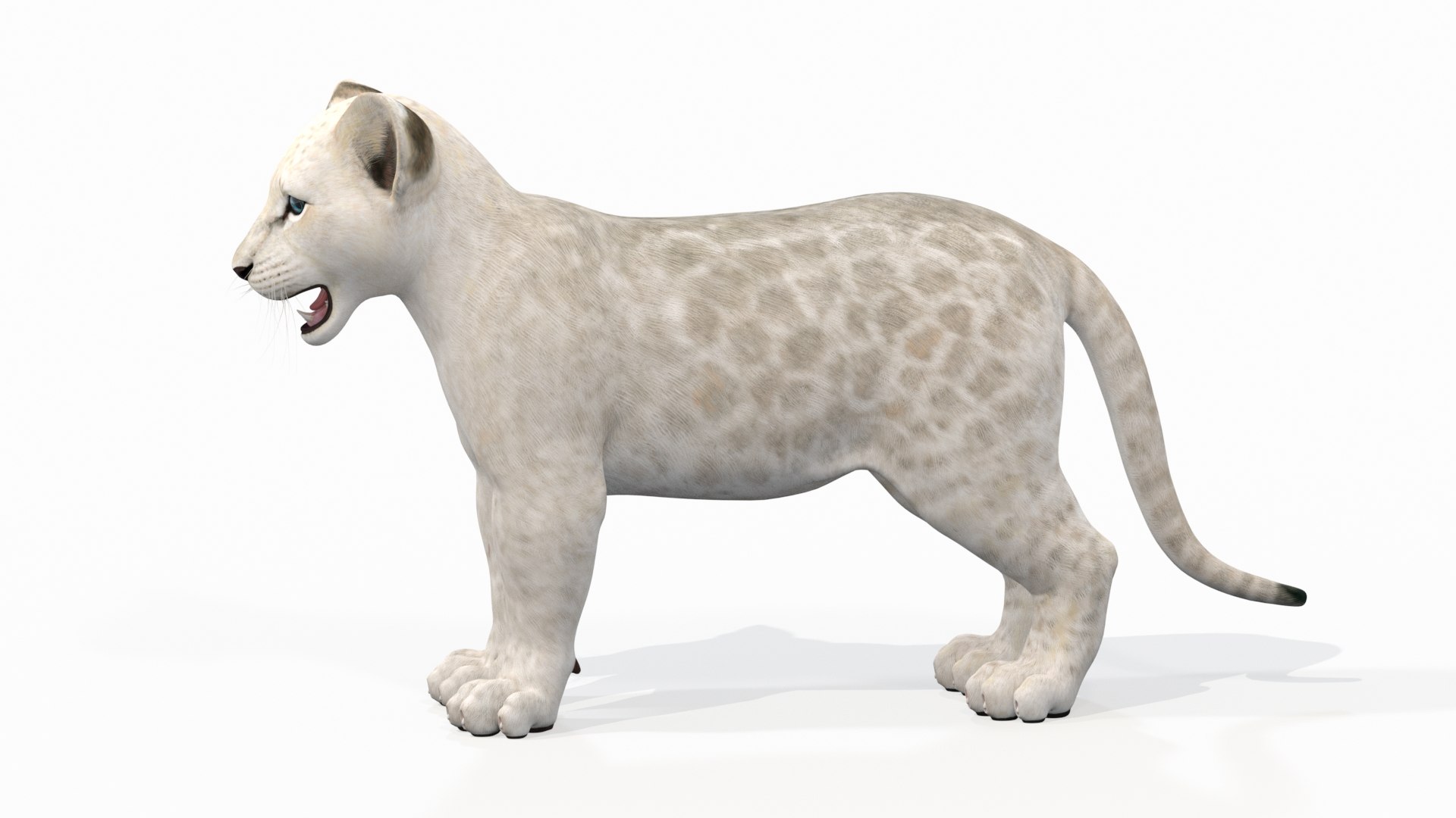 lion cub white modeled 3D model https://p.turbosquid.com/ts-thumb/ap/ajXOsa/RAzg975W/lion_cub_white08/jpg/1563996450/1920x1080/fit_q87/4408767d4ec5e652bea2e7473cce78f408a088db/lion_cub_white08.jpg