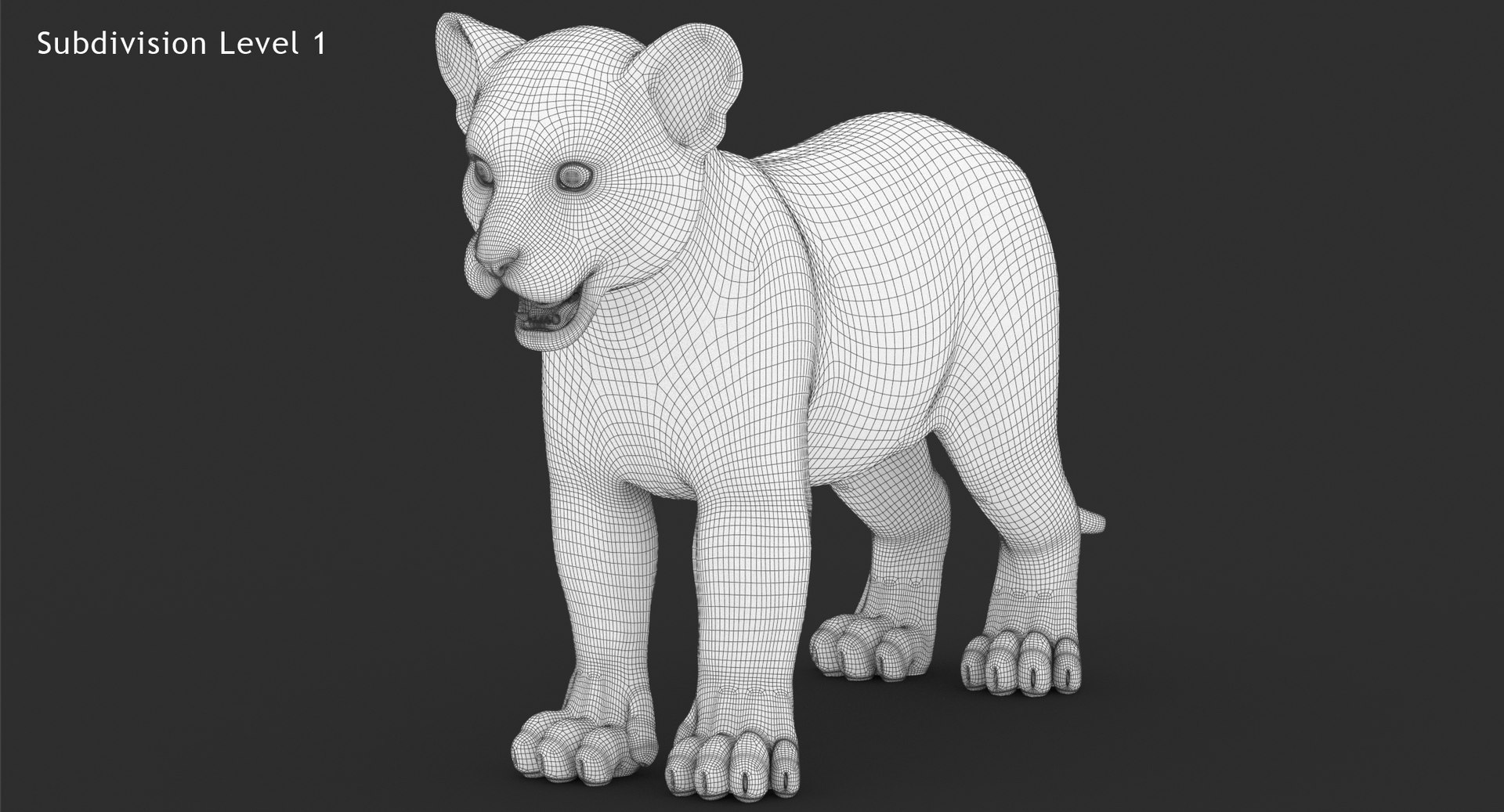lion cub white modeled 3D model https://p.turbosquid.com/ts-thumb/ap/ajXOsa/xF8pBLMM/tigercub3dmodelwireframeview02/jpg/1563996450/1920x1080/fit_q87/2edb83be70fee7a1ae4f5d4873fefd6f2f6caca8/tigercub3dmodelwireframeview02.jpg