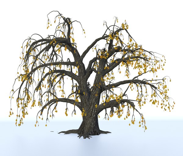 tree oak old 3D model