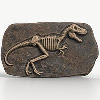 Dinosaur Fossil 005 Textured