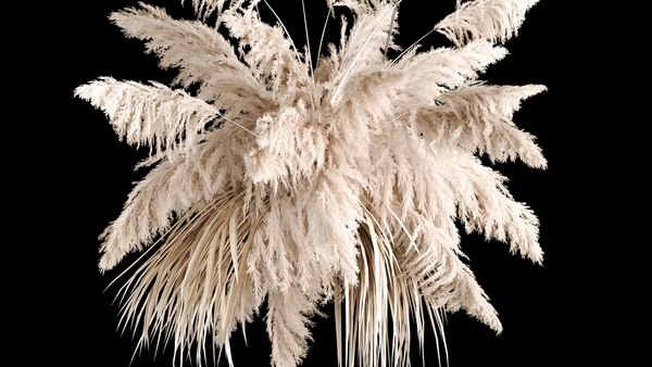 3D Hanging Bouquet Of Dry Reeds For Decoration 267 model - TurboSquid ...