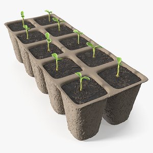 3D Seedling Tray with Sprouting Plants in Peat Cells