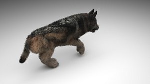 3D Wolf