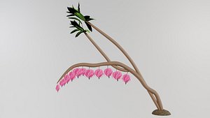 Amazing flower