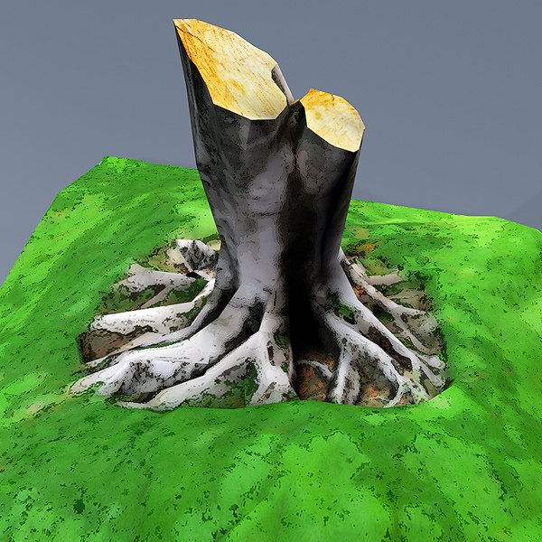 3D scanned tree real model