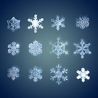 Snow flakes