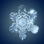 Snow flakes