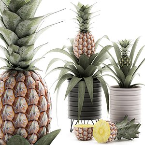 Decorative Pineapple in a pot for the interior 538